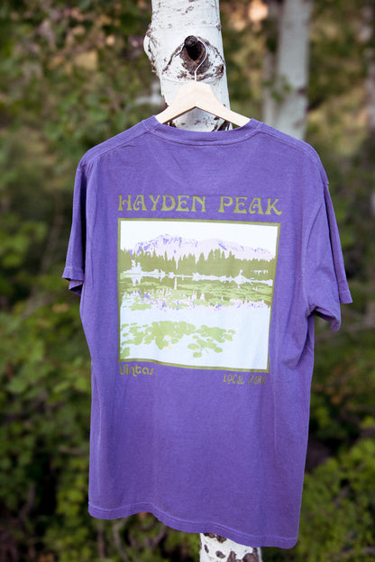 Hayden Peak Tee